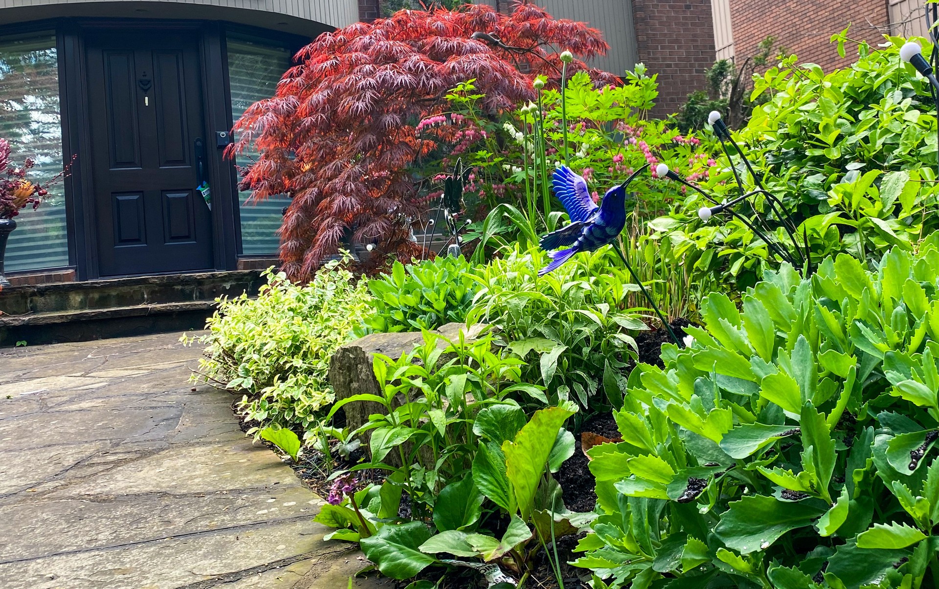 Colorful gardens in urban neighborhood，Toronto Canada